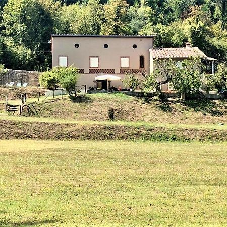 Villa Viola Lucca Exterior foto